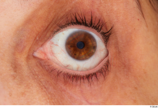 HD Eyes Amelia Freixa eye eyebrow eyelash iris pupil skin…